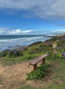 Carlsbad Seapointe Resort
